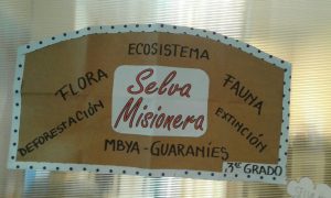 Tercer grado aprende a estudiar - Proyecto selva misionera - Colegio Jockey Club Córdoba - IMG-20160623-WA0000